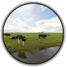 klik en bekijk deze panorama foto